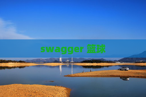 swagger 篮球 swagger 篮球